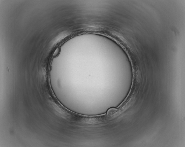 X0000111661402200907311128