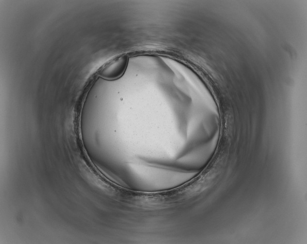 X0000111661404200907311128