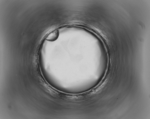 X0000111661405200907311128