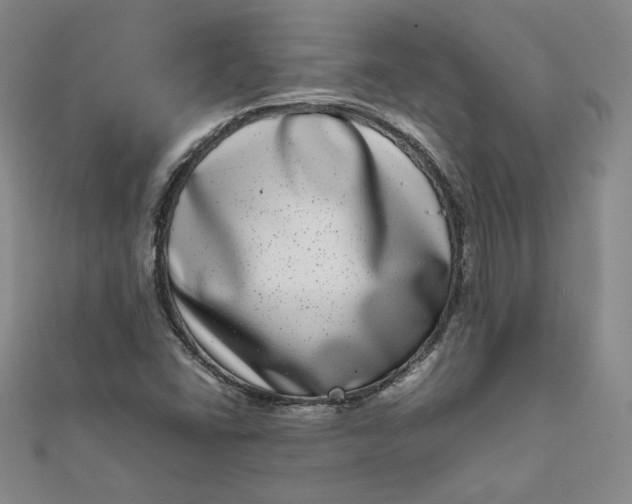 X0000111661406200907311128