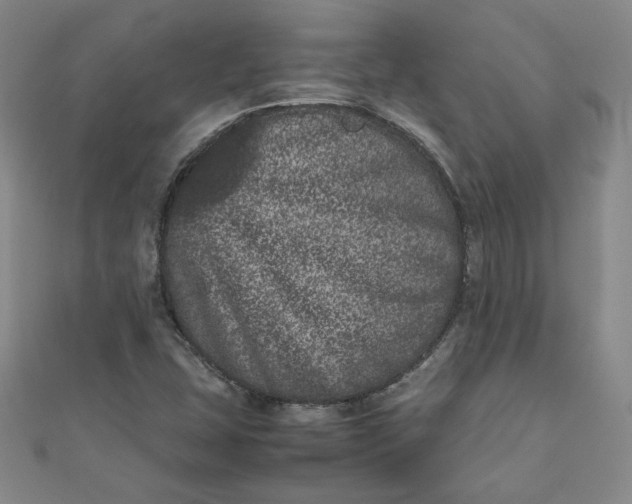 X0000111661407200907311128