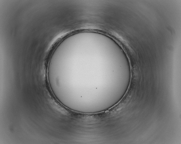 X0000111661408200907311128