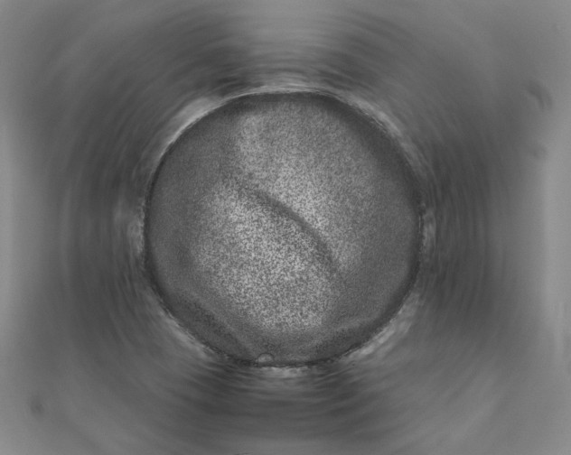 X0000111661409200907311128