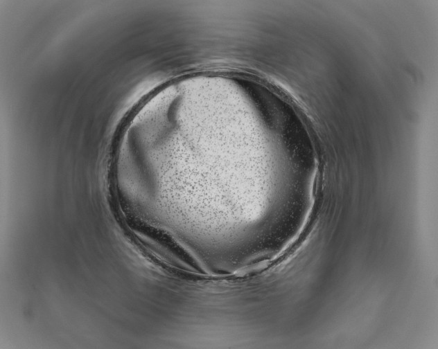 X0000111661410200907311128