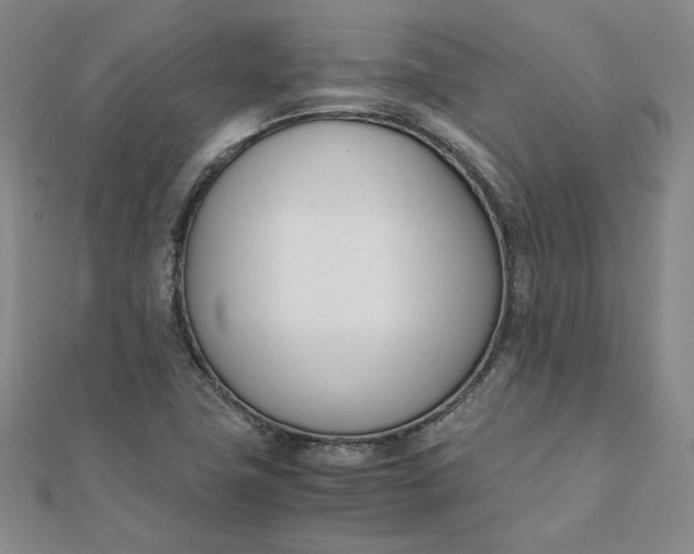 X0000111661411200907311128