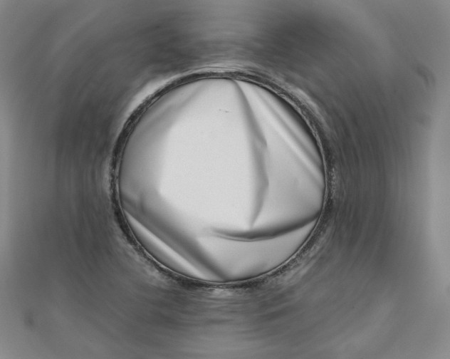 X0000111661412200907311128