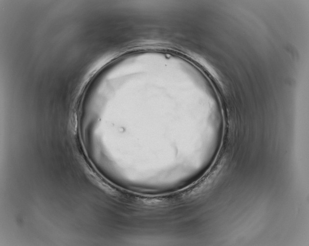 X0000111661413200907311128