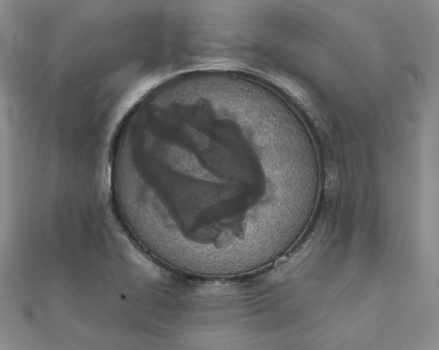 X0000111661414200907311128