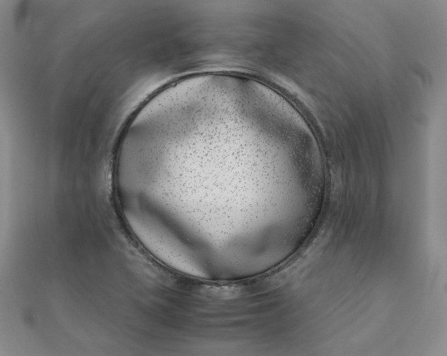 X0000111661415200907311128