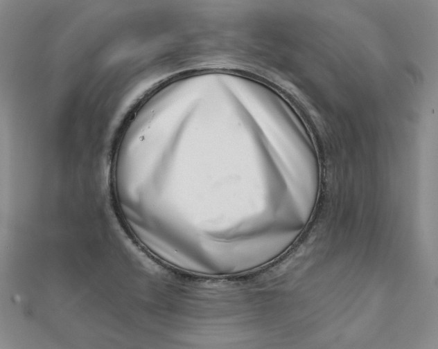 X0000111661416200907311128