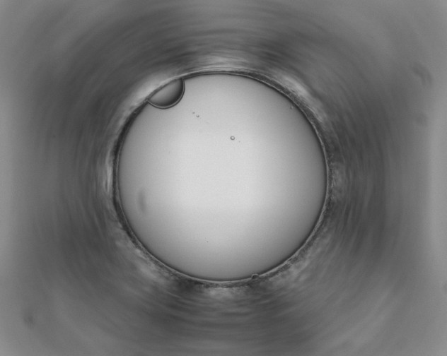 X0000111661419200907311128