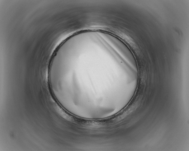 X0000111661420200907311128