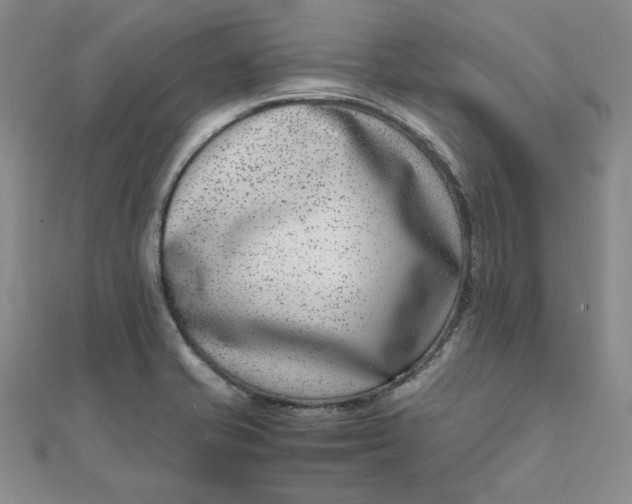 X0000111661421200907311128