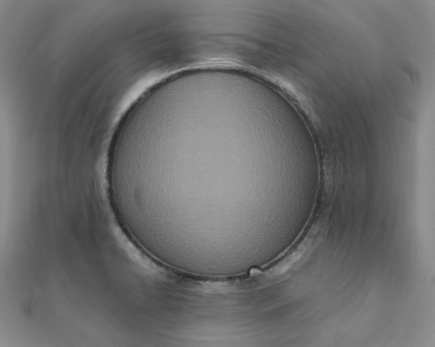 X0000111661422200907311128