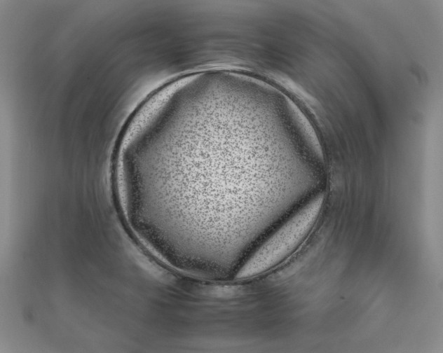 X0000111661423200907311129