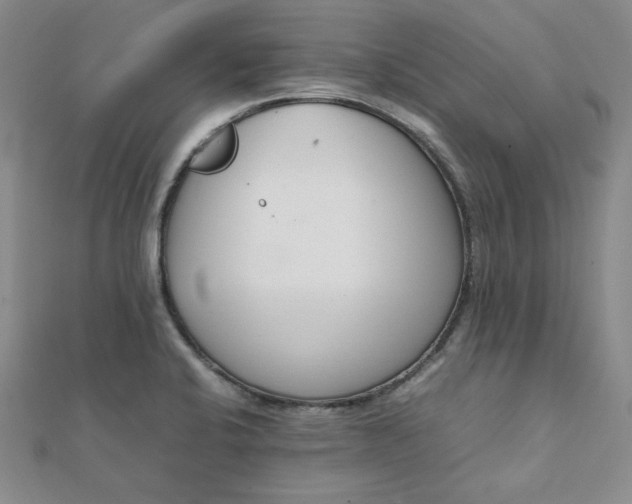 X0000111661424200907311129