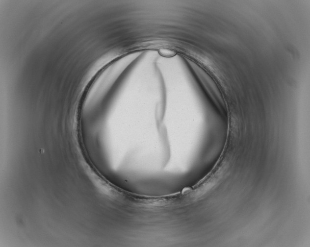 X0000111661426200907311129