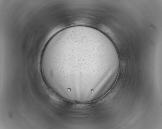 X0000111661427200907311129