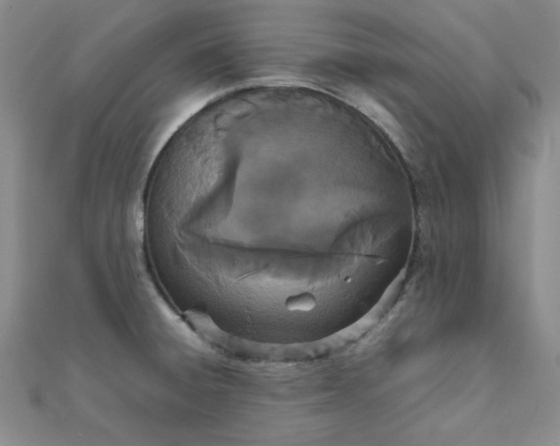 X0000111661428200907311129