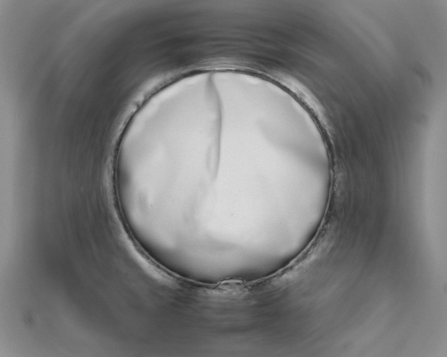 X0000111661429200907311129