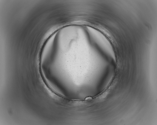 X0000111661430200907311129