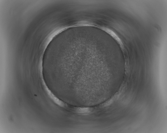 X0000111661431200907311129