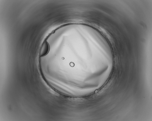 X0000111661432200907311129