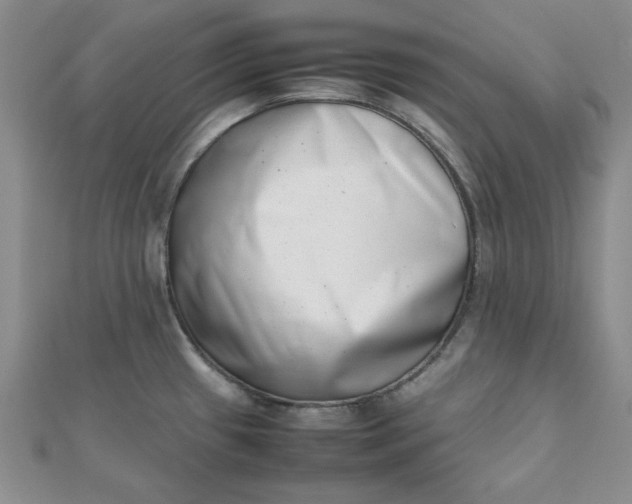 X0000111661433200907311129