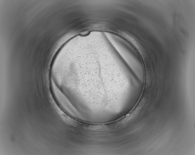 X0000111661434200907311129