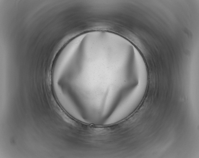 X0000111661436200907311129