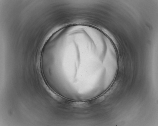 X0000111661437200907311129