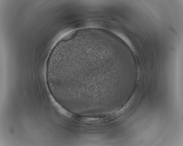 X0000111661439200907311129