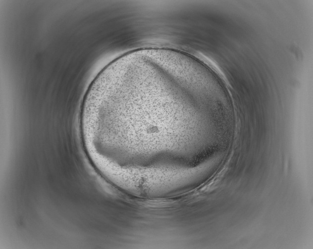 X0000111661440200907311129