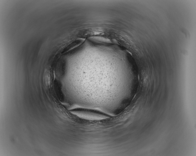 X0000111661442200907311128