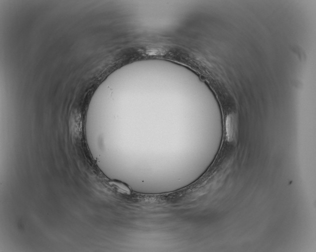 X0000111661443200907311128