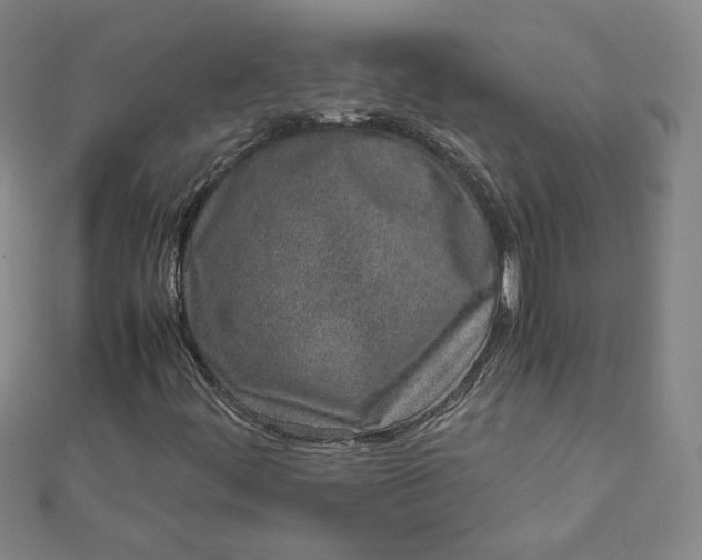 X0000111661444200907311128