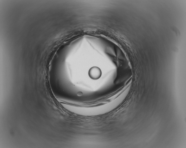 X0000111661445200907311128