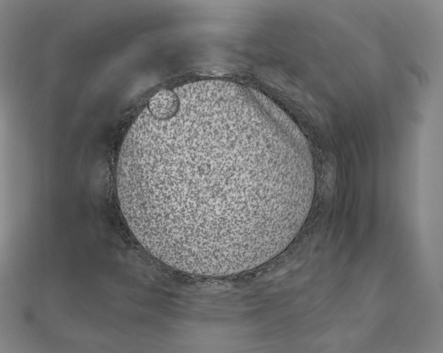 X0000111661446200907311128