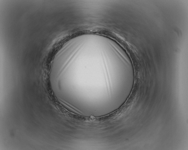 X0000111661447200907311128