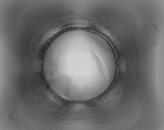 X0000111661448200907311128