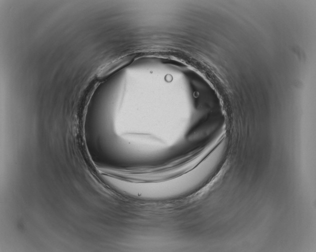 X0000111661449200907311128