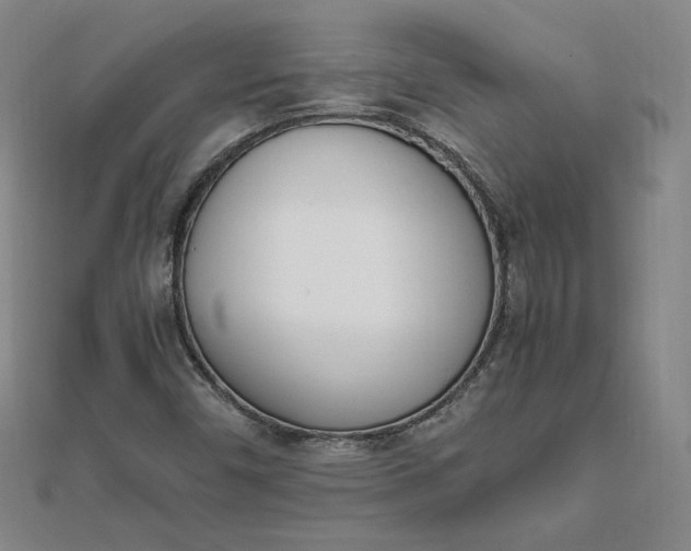 X0000111661450200907311128