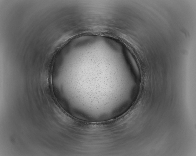 X0000111661451200907311128