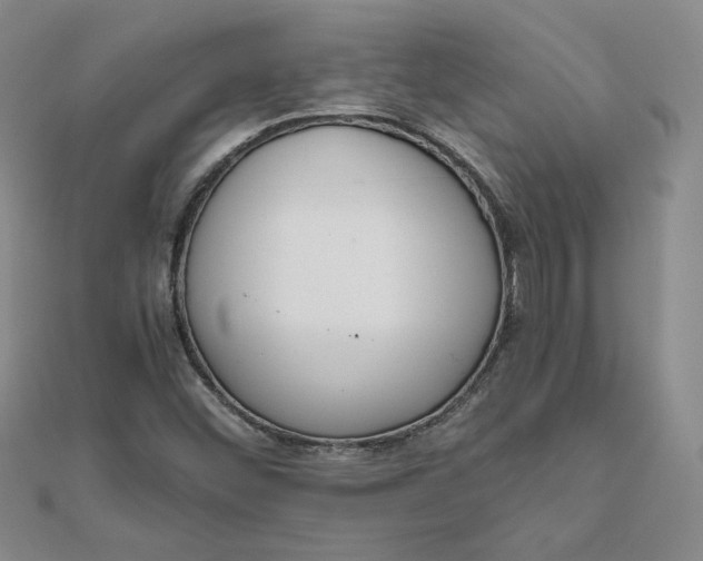 X0000111661452200907311128