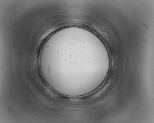 X0000111661453200907311128