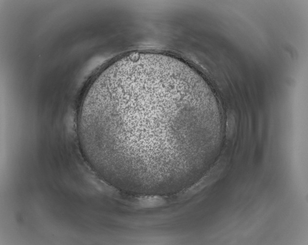 X0000111661454200907311128