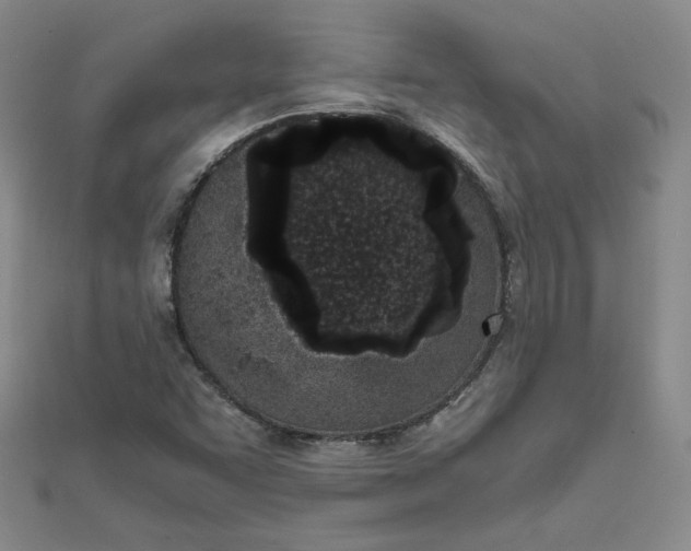 X0000111661455200907311128