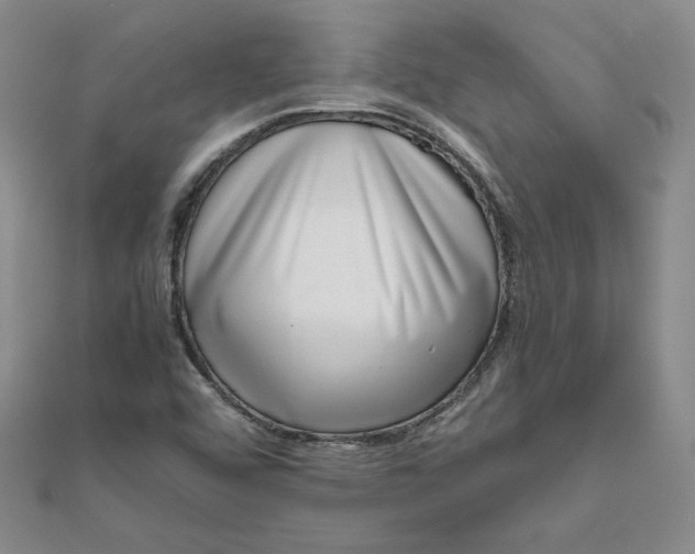 X0000111661456200907311128