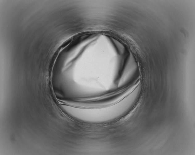 X0000111661457200907311128