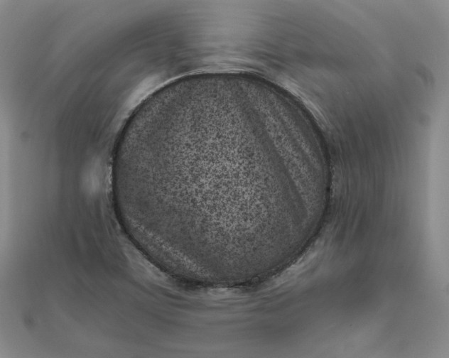 X0000111661459200907311128